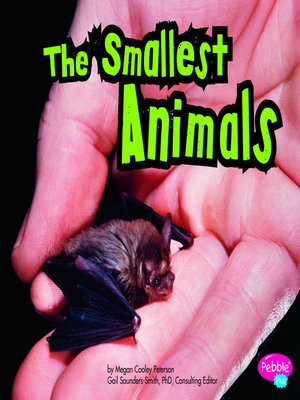cover image of The Smallest Animals